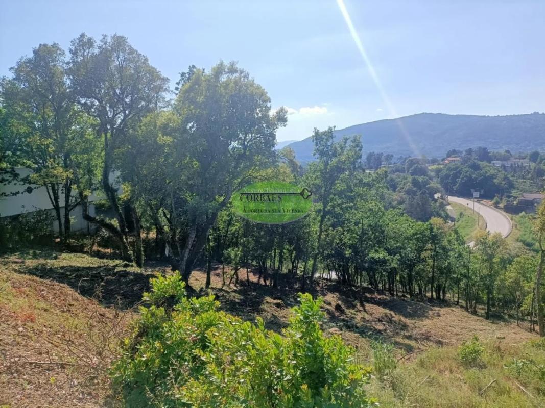 Działka na sprzedaż w Ourense, Ourense photo 5