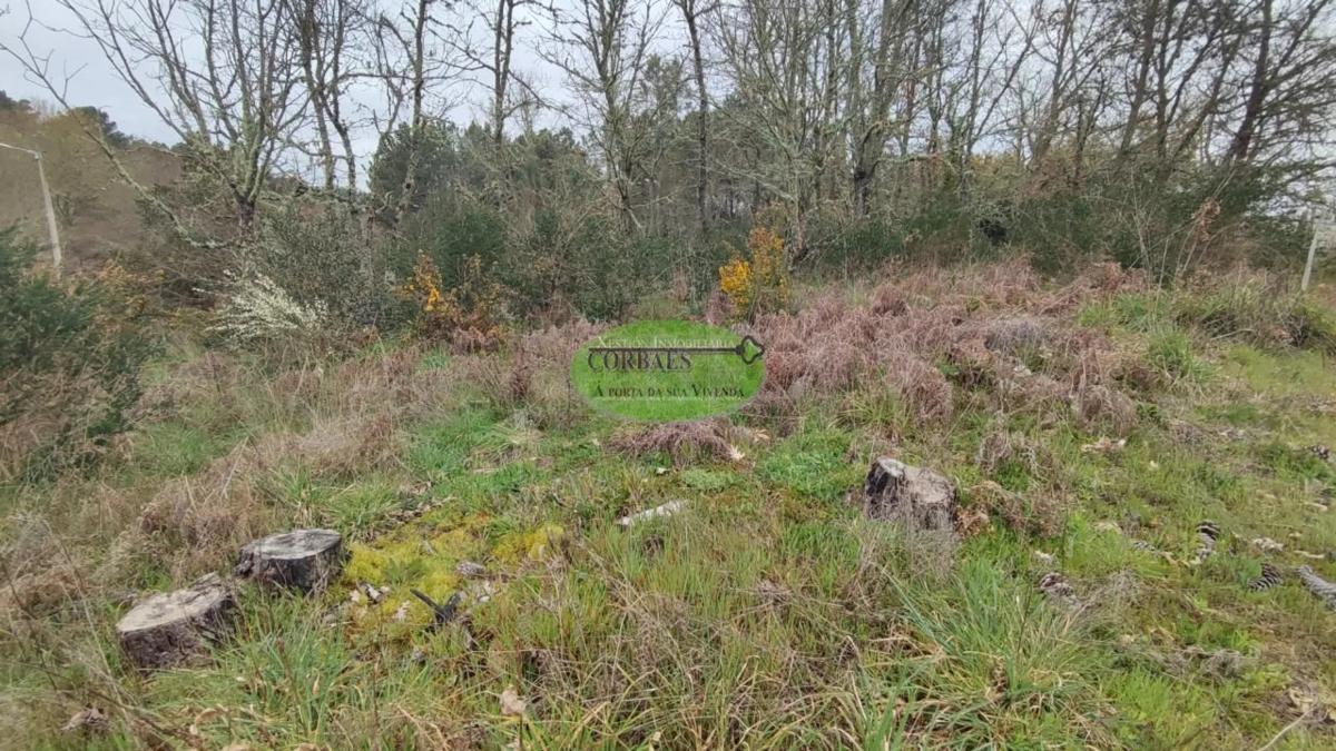 Terreno en venta en Toén, Ourense photo 2