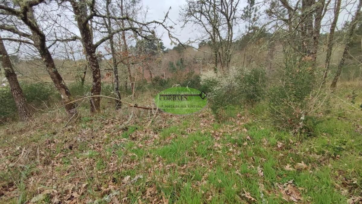 Terreno en venta en Toén, Ourense photo 3