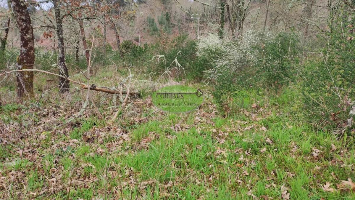 Terreno en venta en Toén, Ourense photo 4