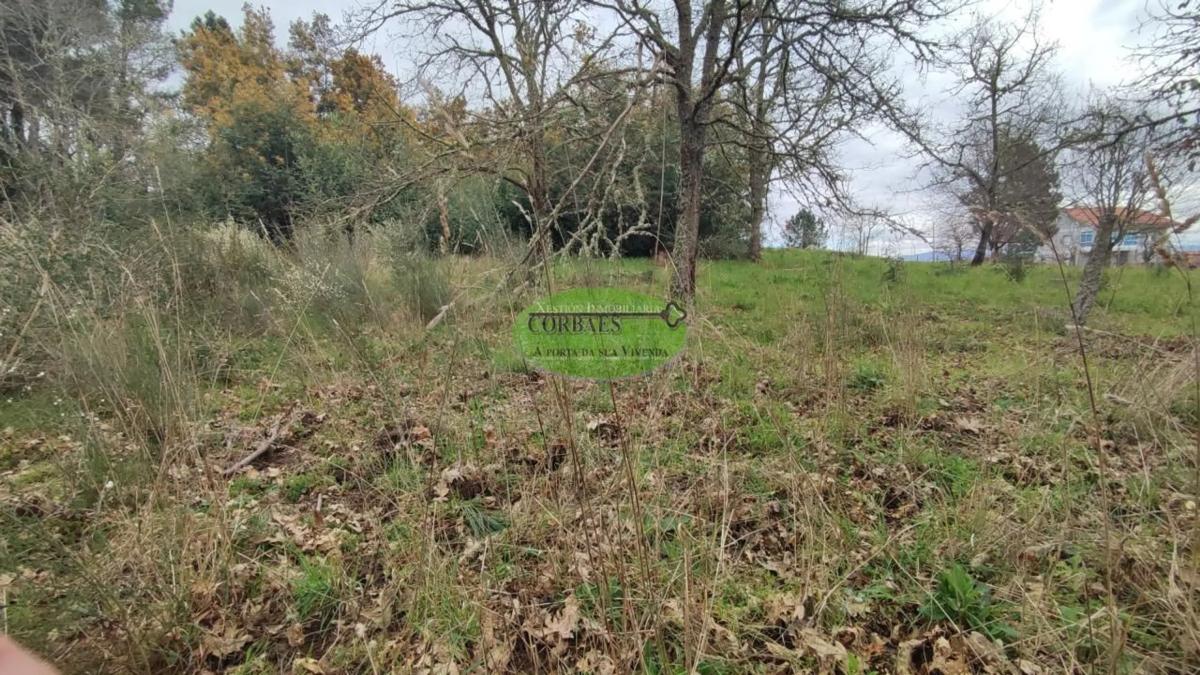 Terreno en venta en Toén, Ourense photo 5