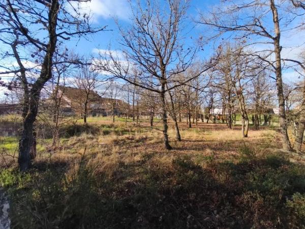 Terreno en Pereiro de Aguiar photo 1