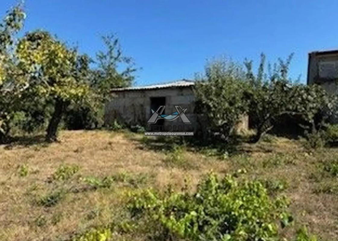 Land for sale in San Cibrao das Viñas, Ourense photo 2