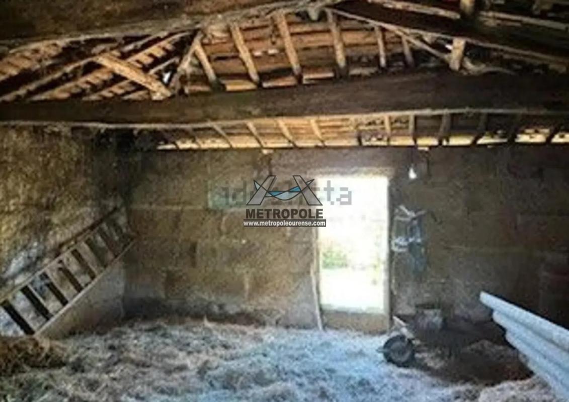 Land for sale in San Cibrao das Viñas, Ourense photo 4