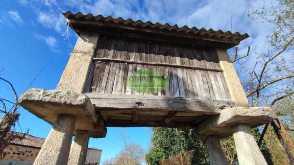Terreno en Coles photo 1