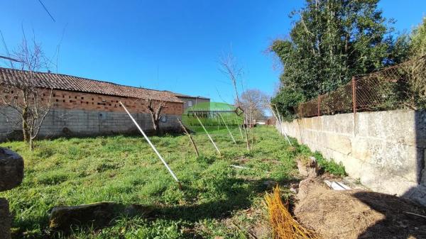 Terreno en Coles photo 2