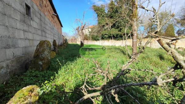Terreno en Coles photo 3