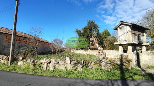 Terreno en Coles photo 4