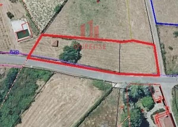 Terreno en Vilamarin photo