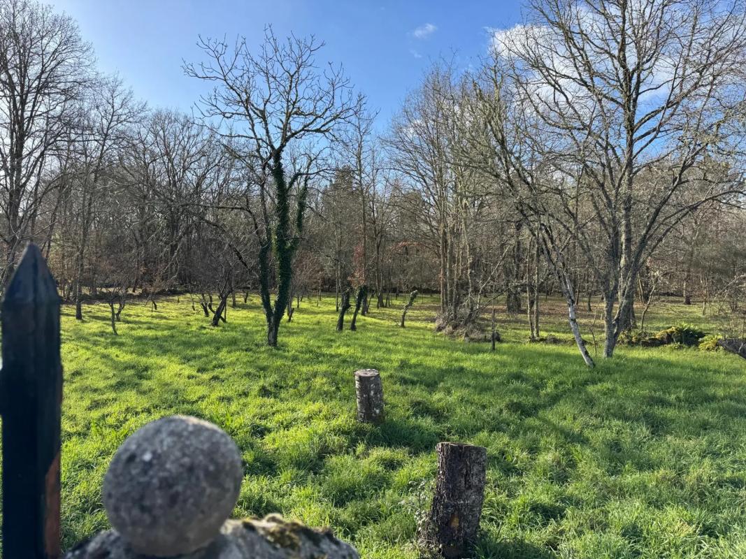 Terreno en venta en San Cibrao das Viñas, Ourense photo 2