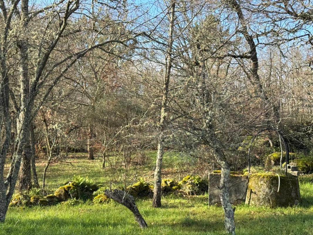 Terreno en venta en San Cibrao das Viñas, Ourense photo 4