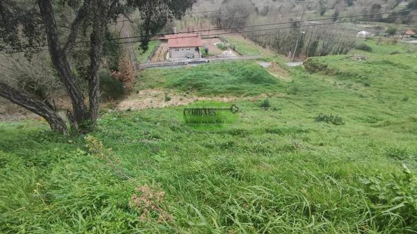 Terreno en Barbadas photo 4