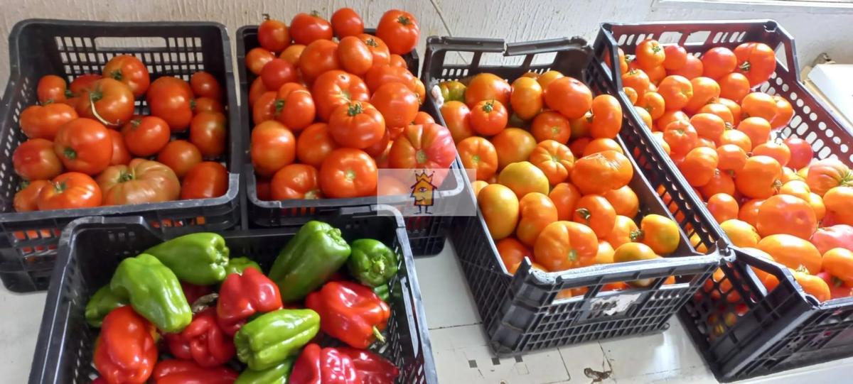 Участок земли на продажу в Виламарин, Оренсе photo 4