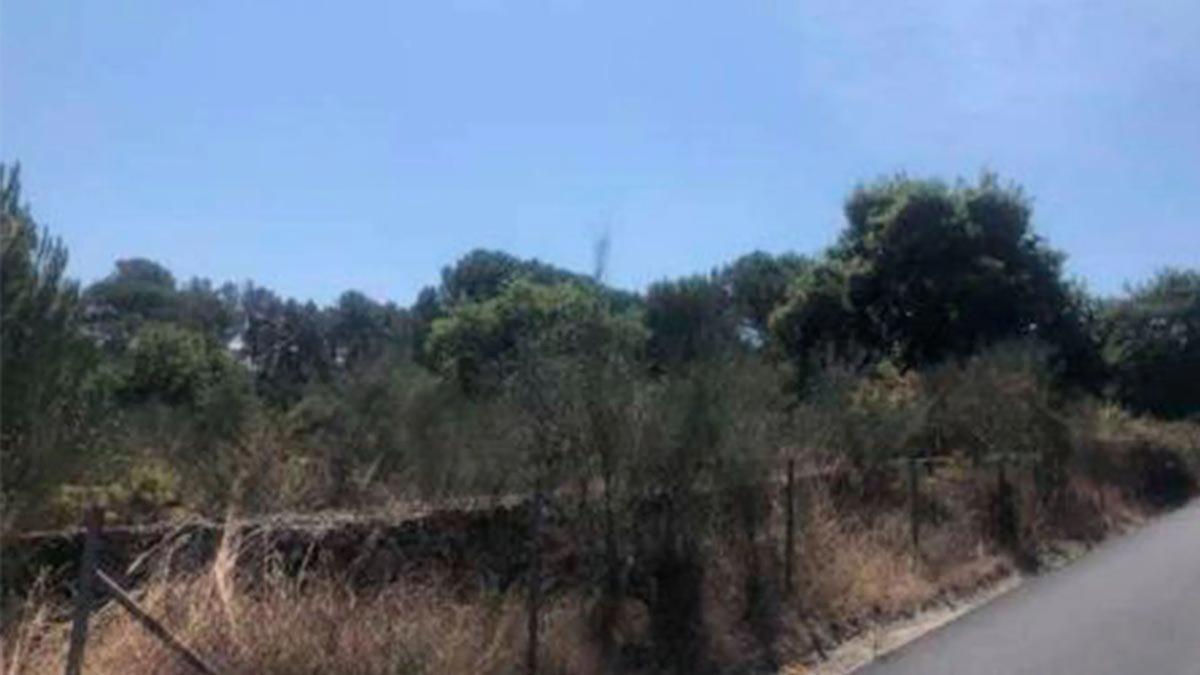 Land for sale in San Cibrao das Viñas, Ourense photo 1