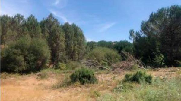 Terreno en carretera Ourense s/n None thumbnail 1