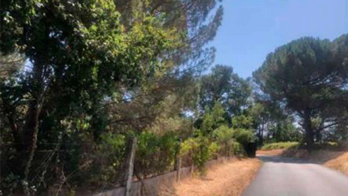 Land for sale in San Cibrao das Viñas, Ourense photo 3