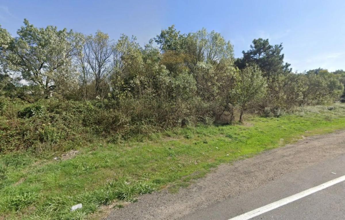 Land for sale in San Cibrao das Viñas, Ourense photo 4