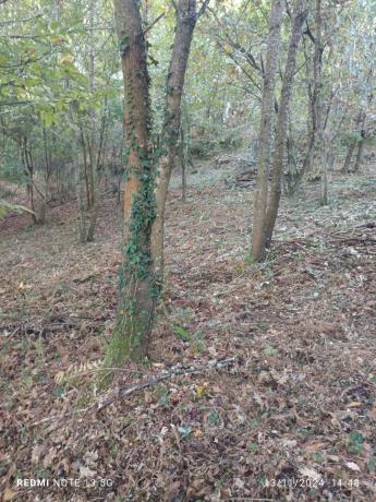 Terreno en Ou-402, km 0 photo 4