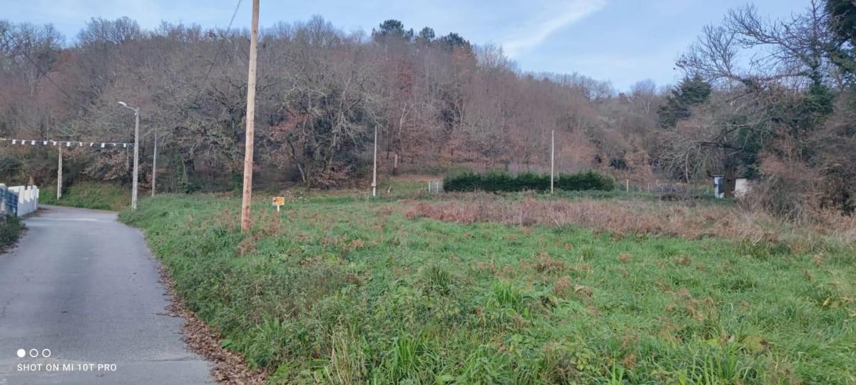 Land for sale in Esgos, Ourense photo 1