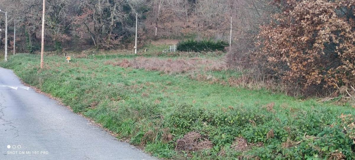 Land for sale in Esgos, Ourense photo 5