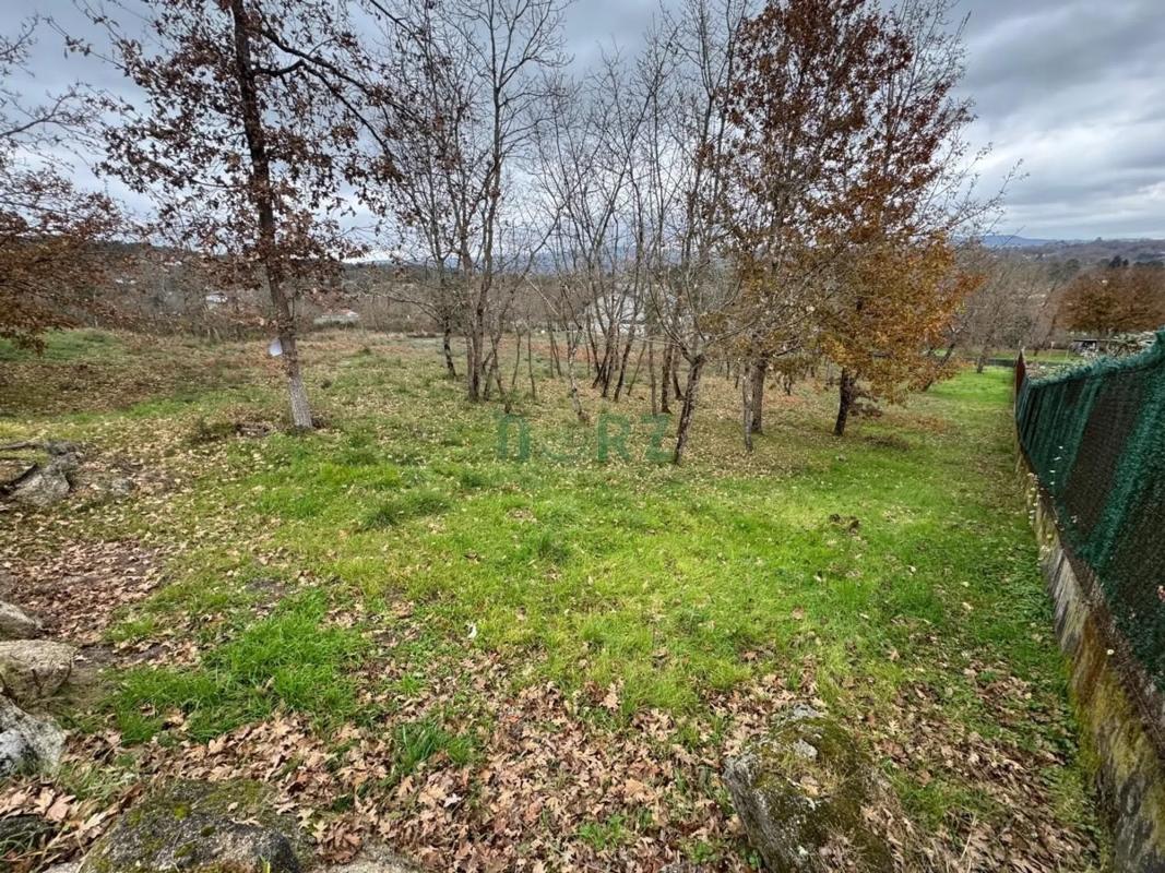 Terreno en venta en Pereiro de Aguiar, Ourense photo 1