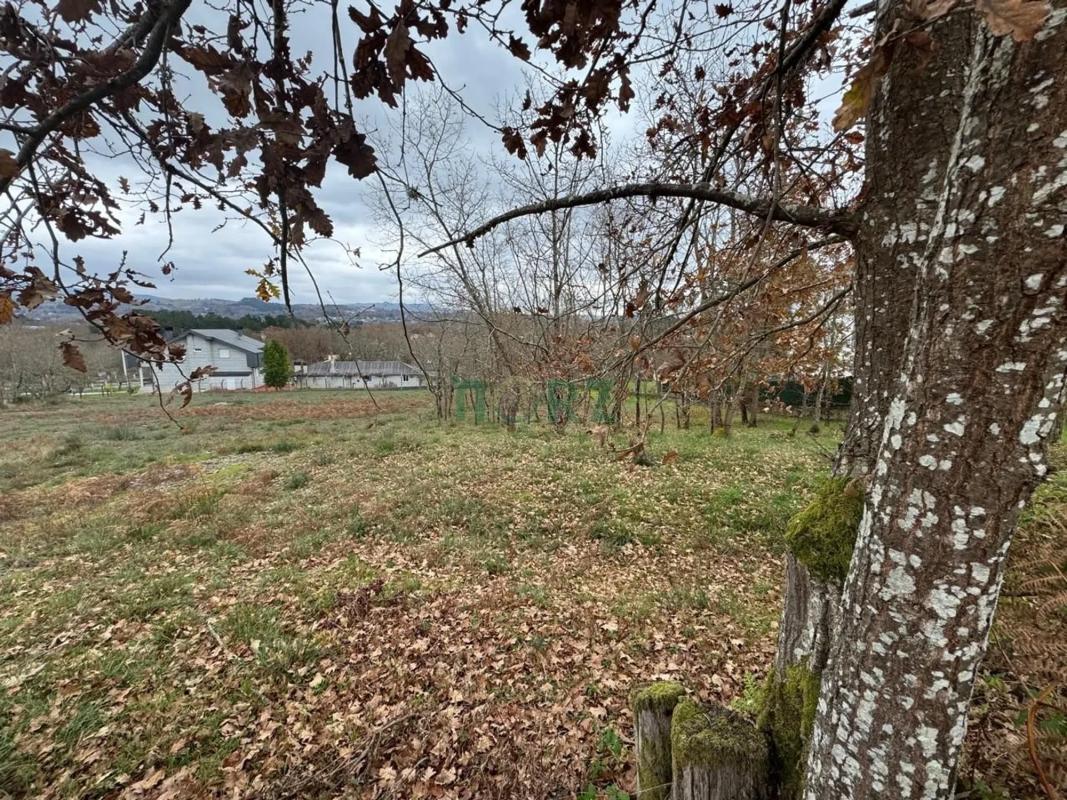 Terreno en venta en Pereiro de Aguiar, Ourense photo 2