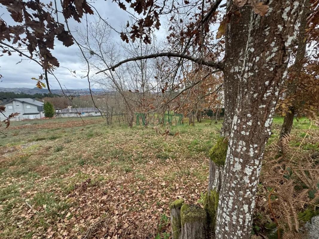 Terreno en venta en Pereiro de Aguiar, Ourense photo 3