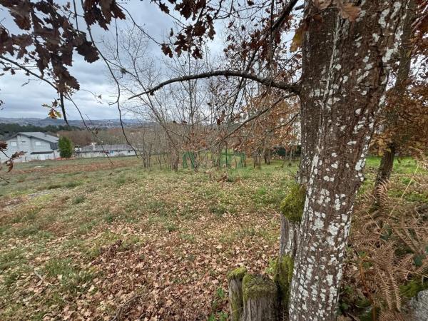 Terreno en Pereiro de Aguiar thumbnail 2