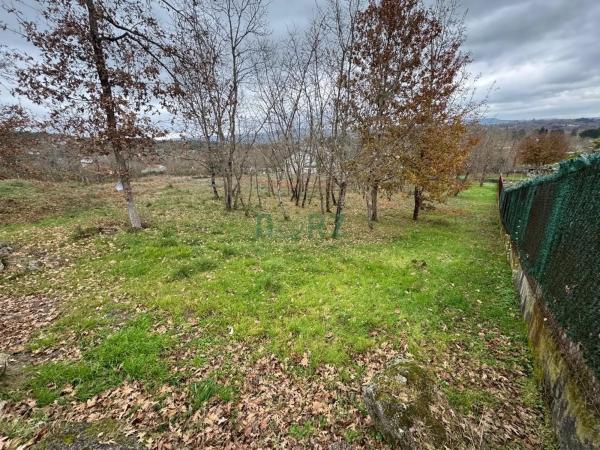 Terreno en Pereiro de Aguiar photo 4