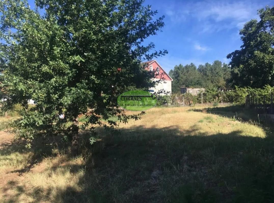 Działka na sprzedaż w San Cibrao das Viñas, Ourense photo 4