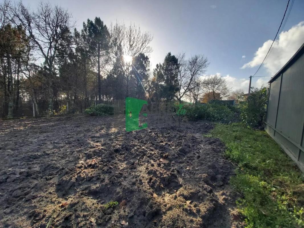Land for sale in Coles, Ourense photo 2