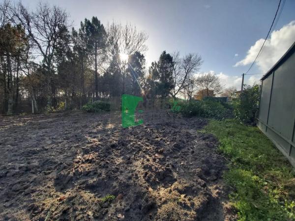 Terreno en Coles photo 2