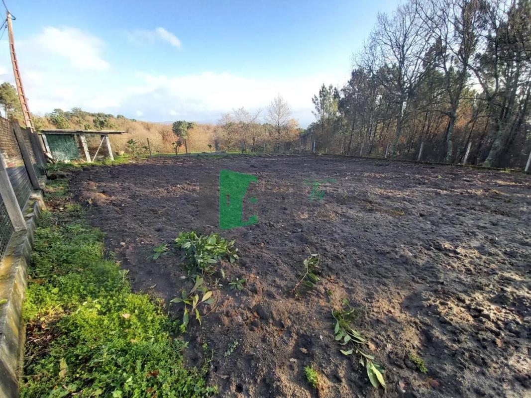 Land for sale in Coles, Ourense photo 3