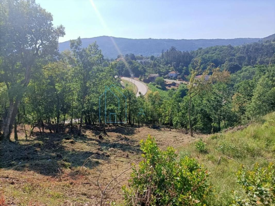 Land for sale in Ourense, Ourense photo 1