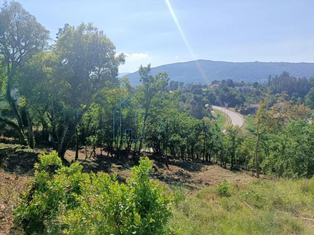Land for sale in Ourense, Ourense photo 2