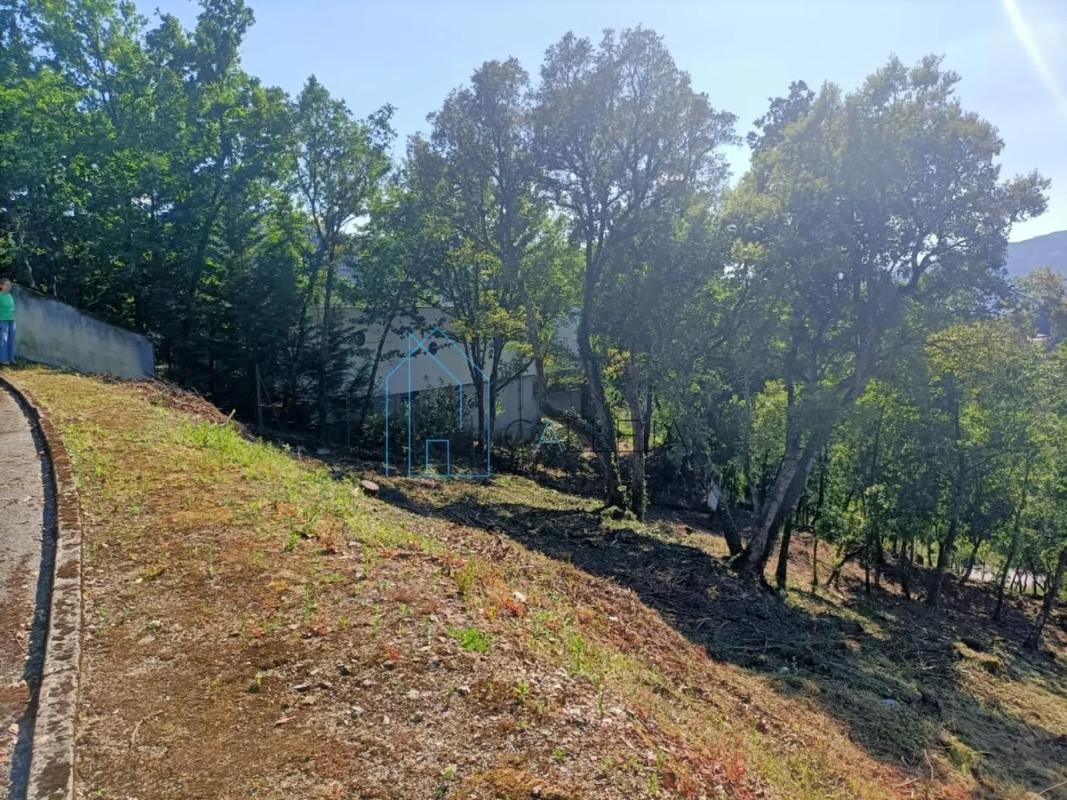 Land for sale in Ourense, Ourense photo 3