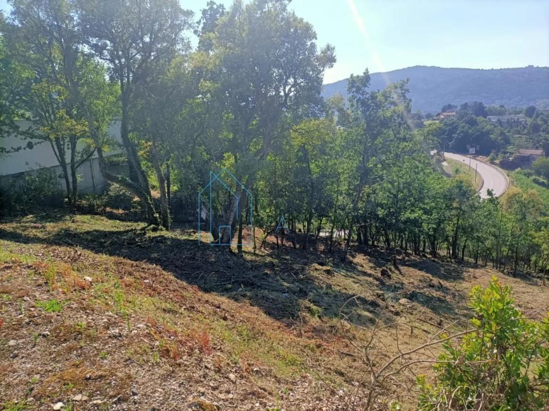 Land for sale in Ourense, Ourense photo 5