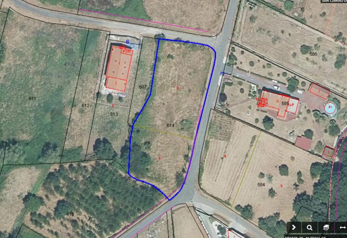 Land for sale in San Cibrao das Viñas, Ourense photo 1