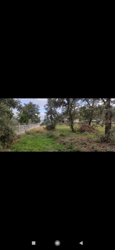 Terreno en venta en San Cibrao das Viñas, Ourense photo 1