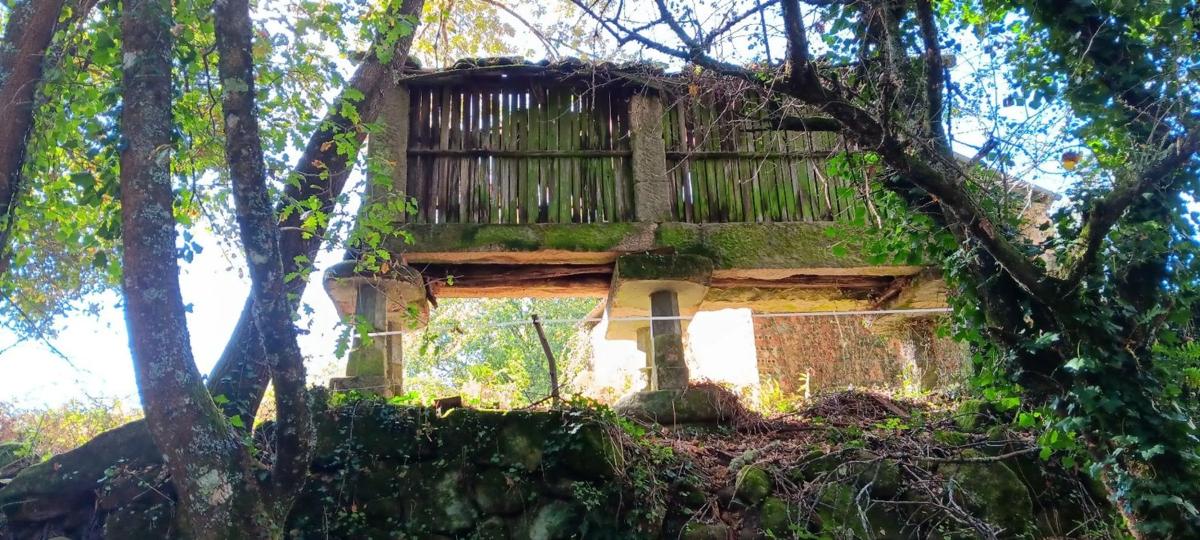 Terreno en venta en Vilamarin, Ourense photo 2