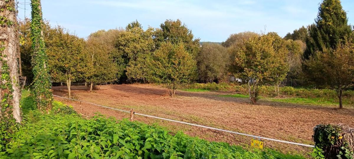 Terreno en venta en Vilamarin, Ourense photo 3