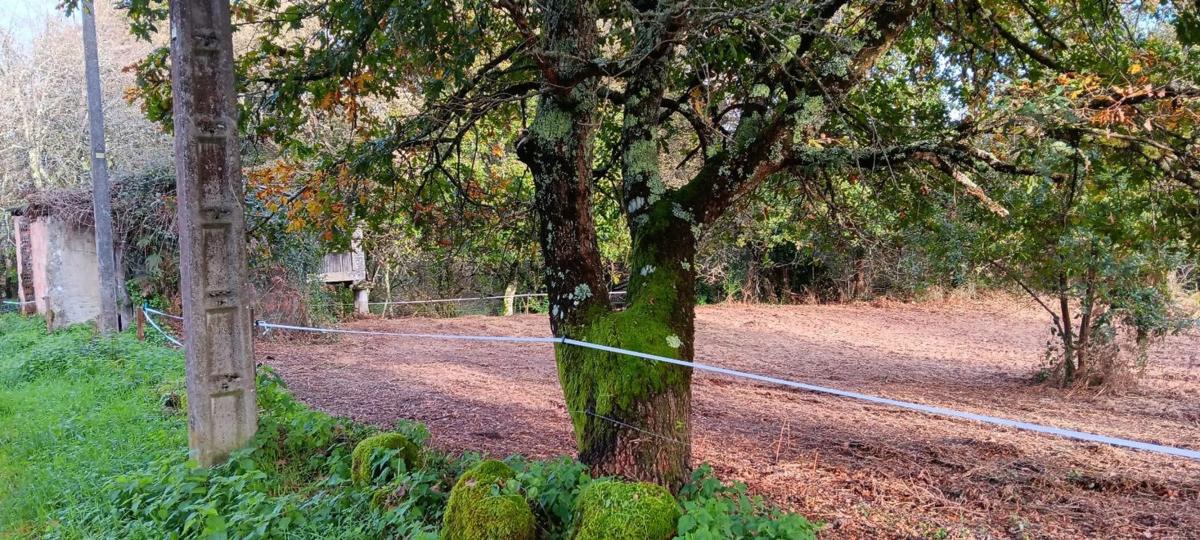 Terreno en venta en Vilamarin, Ourense photo 4