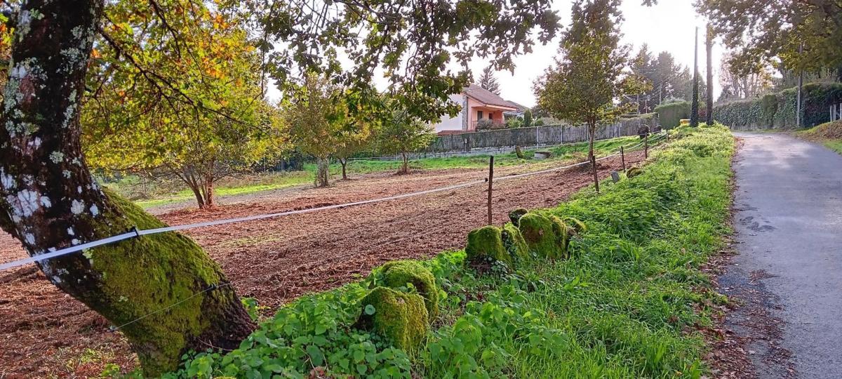 Terreno en venta en Vilamarin, Ourense photo 5