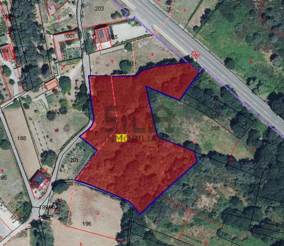 Land for sale in Coles, Ourense photo 1