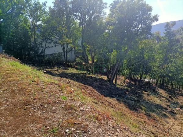 Terreno en Vilar de Astrés - Palmés - Arrabaldo photo 4