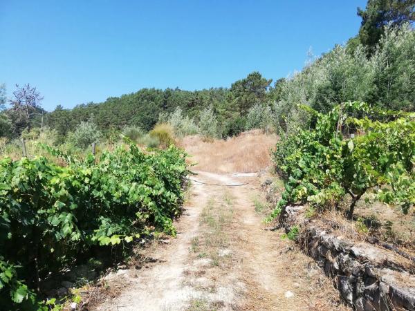 Terreno en calle Tarascon, 121 photo 2
