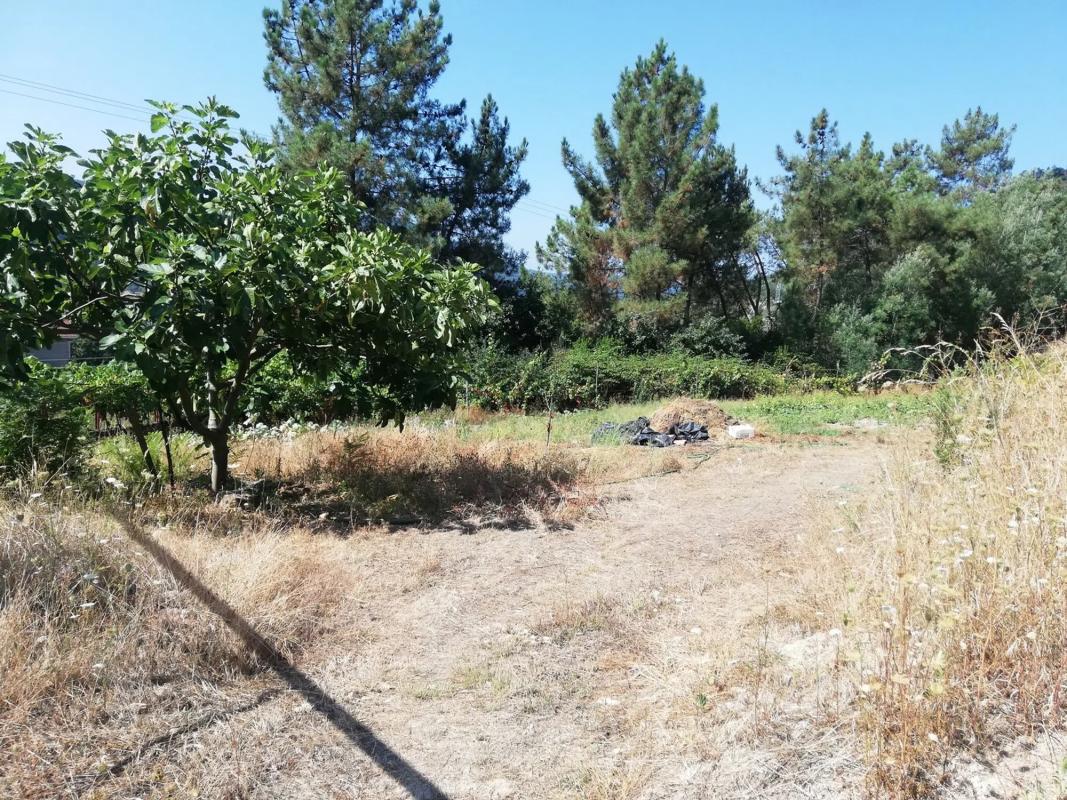 Terreno en venta en Ourense, Ourense photo 5