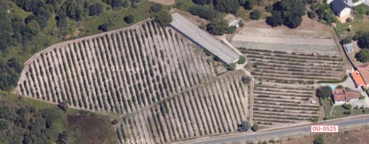 Terreno en venta en Amoeiro, Ourense photo 2