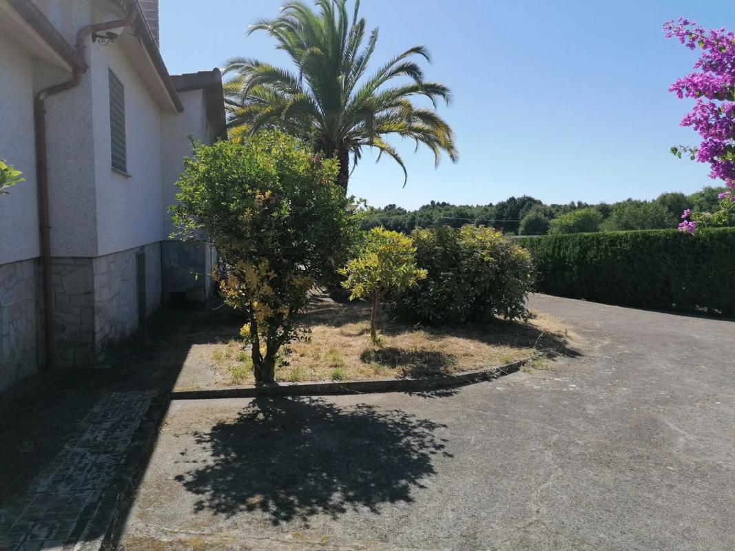 Terreno en venta en Amoeiro, Ourense photo 4