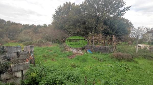Terreno en Coles photo 1